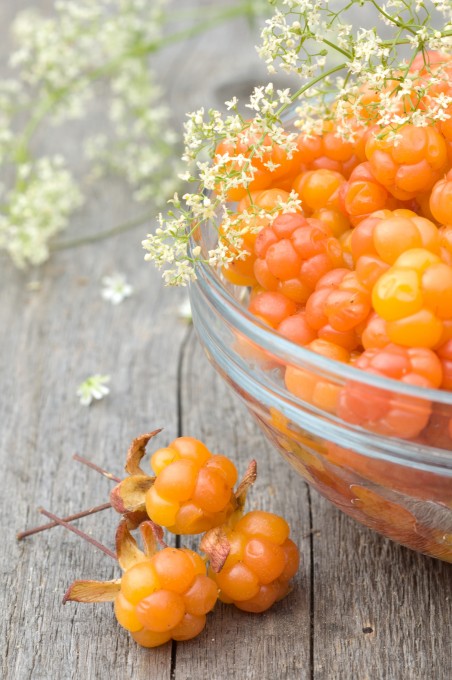 cloudberries-tea-buns-chocolate-shoes-a-postcard-from-newfoundland