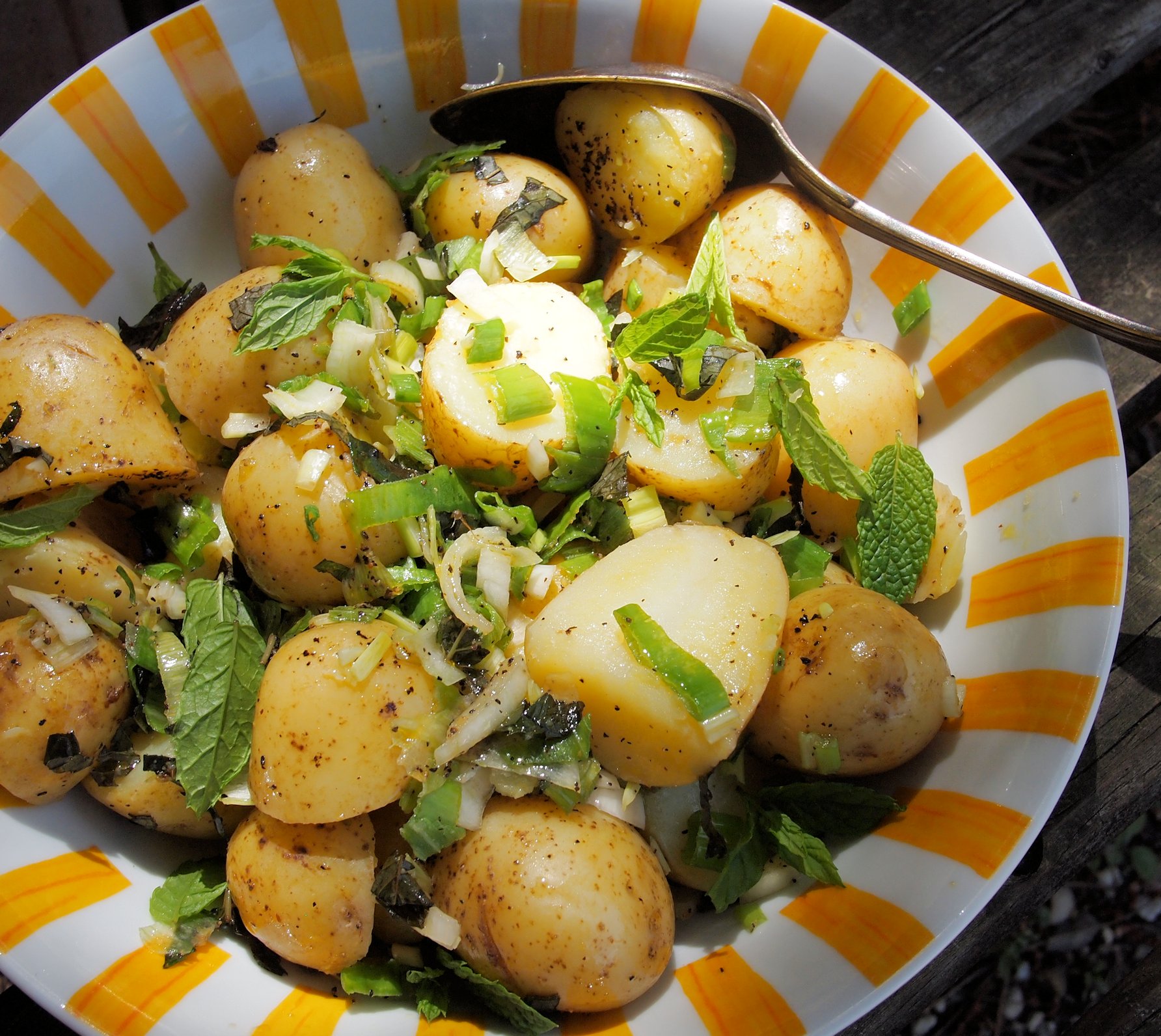 Hot New Potato Salad With Mint Spring Onions Lavender And Lovage   P62776051 