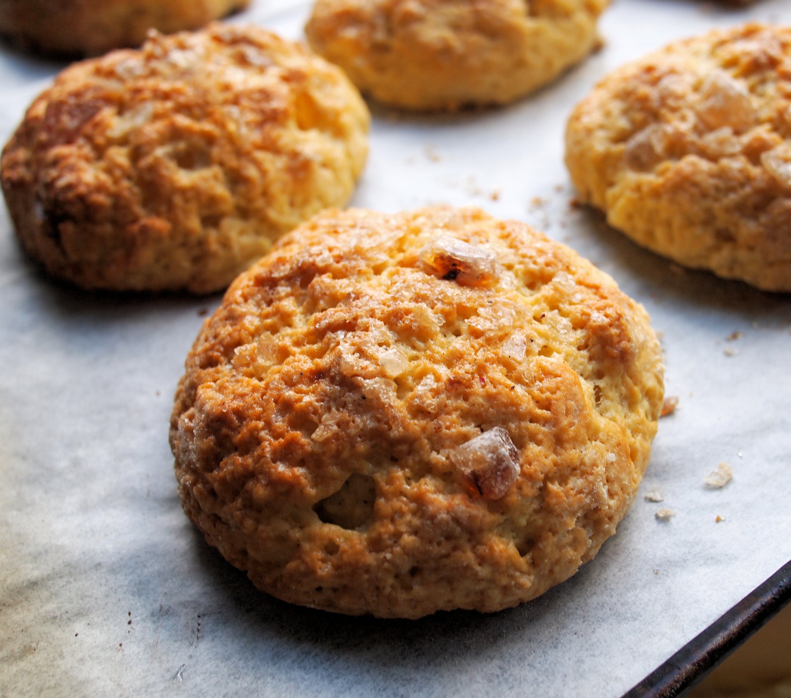 bath-bun-traditional-sweet-bread-from-bath-england